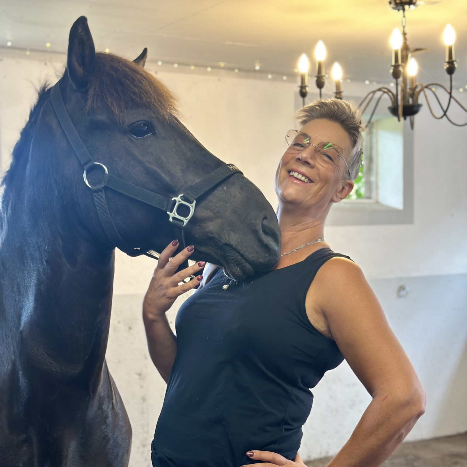 Sattel auswählen und anpassen für Islandpferde TheHorseseller