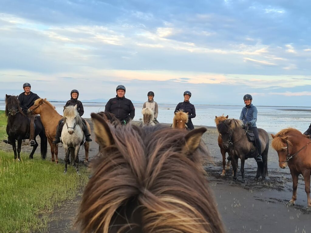 in Island reiten am schwarzen Stand