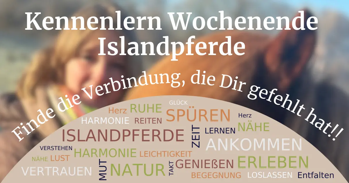 Ein ansprechendes Bild für ein Kennenlern-Wochenende mit Islandpferden. Der Titel ‚Kennenlern Wochenende Islandpferde‘ wird durch den emotionalen Slogan ‚Finde die Verbindung, die Dir gefehlt hat!‘ ergänzt. Im unteren Bereich des Bildes sind Begriffe wie ‚Vertrauen, Harmonie, Nähe, Erleben, Spüren‘ in verschiedenen Farben dargestellt, die die Kernbotschaften des Events hervorheben.