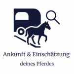 2. Ankunft & Einschätzung deines Pferdes - Pferd verkaufen