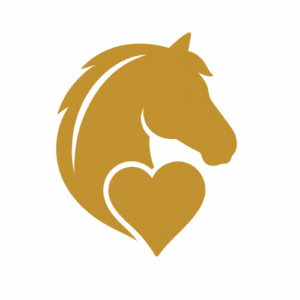 Faszination Islandpferd