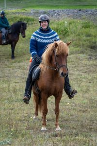 Inken & Gaefa Happy Horse Owner Inken & Gaefa Happy Horse Owner